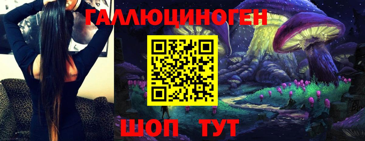 Зеленогорск  Псилоцибиновые грибы GOLDEN TEACHER  Вход с VPN 